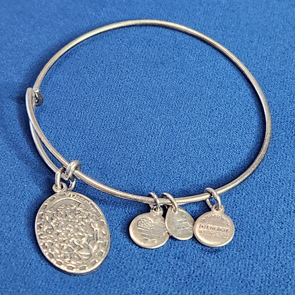 Alex And Ani Silver Charm Bracelet